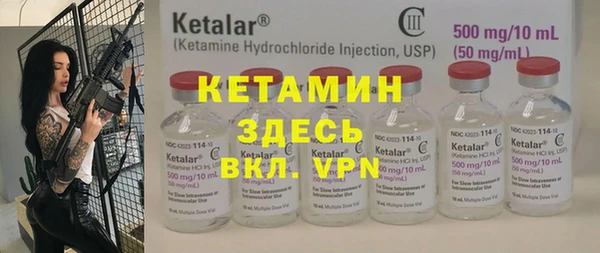 крисы Новодвинск
